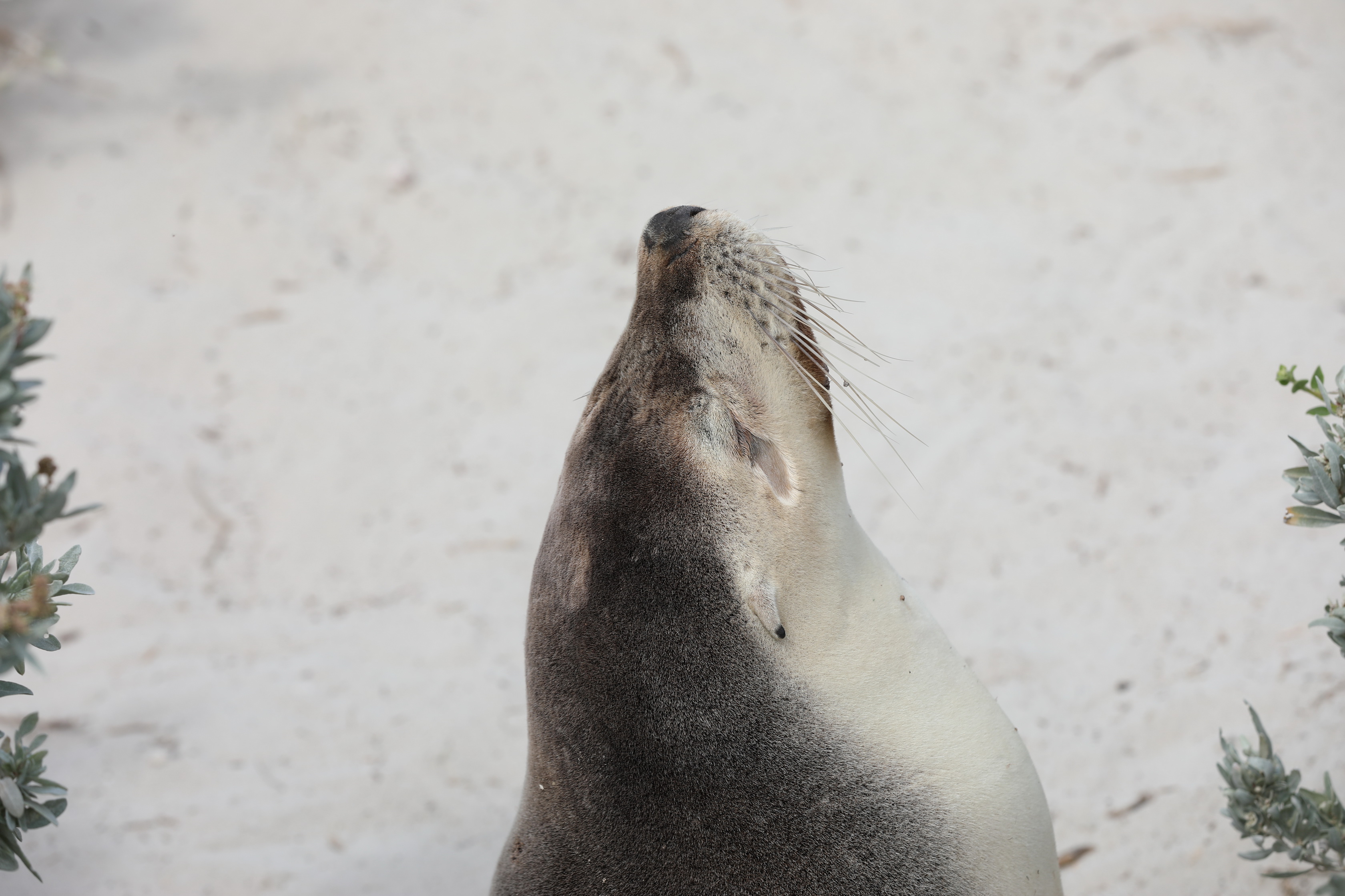 2019 09 29 14 20 18 Canon EOS 5D Mark IV 0051